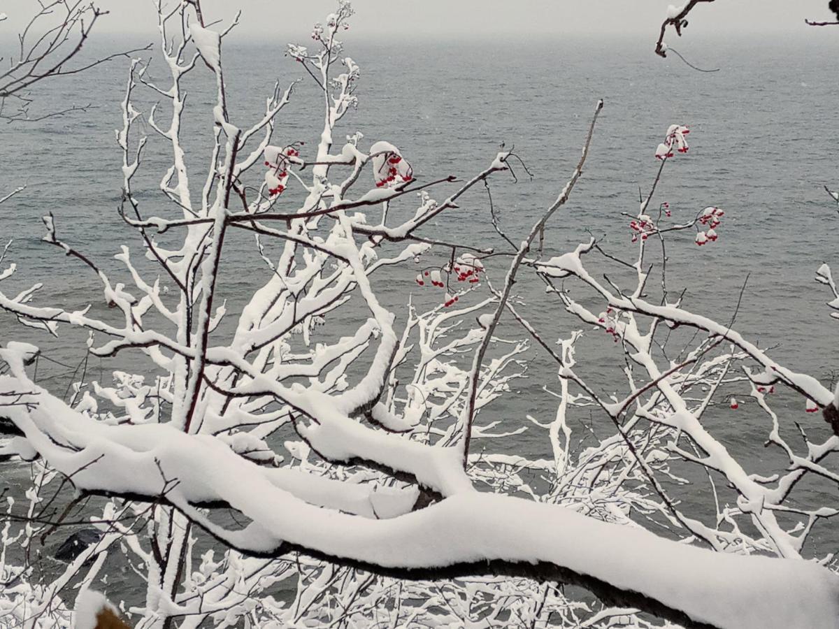 Cliff Dweller On Lake Superior Tofte المظهر الخارجي الصورة